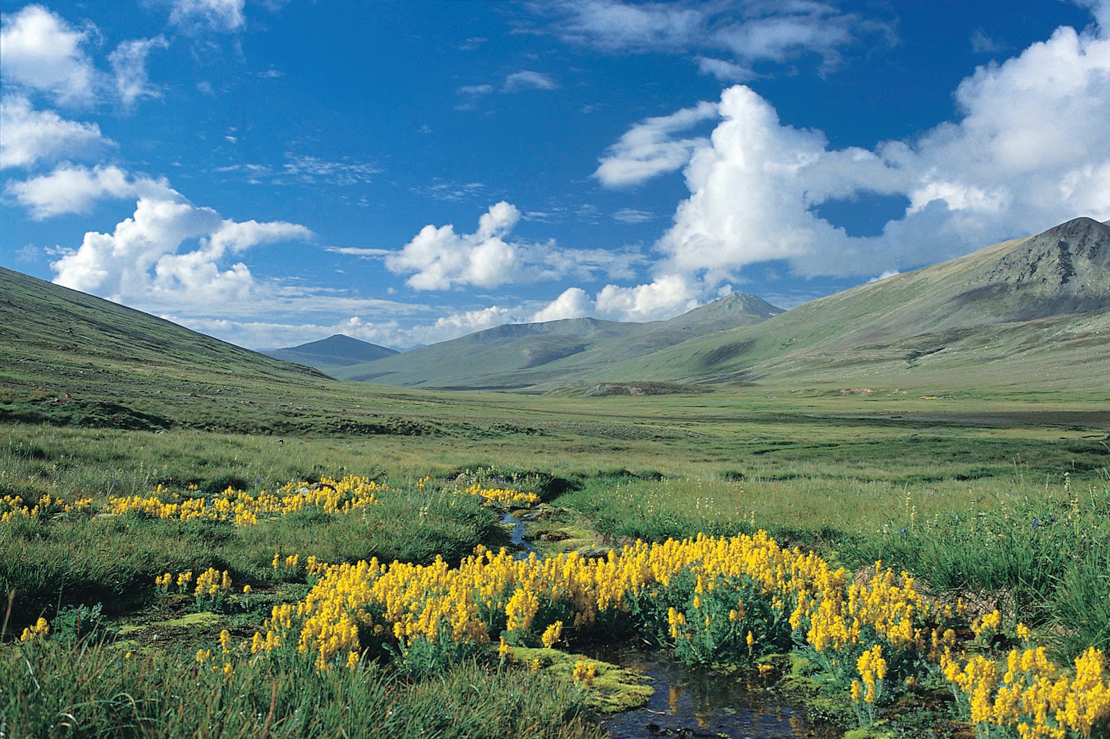 deosai land of the giant